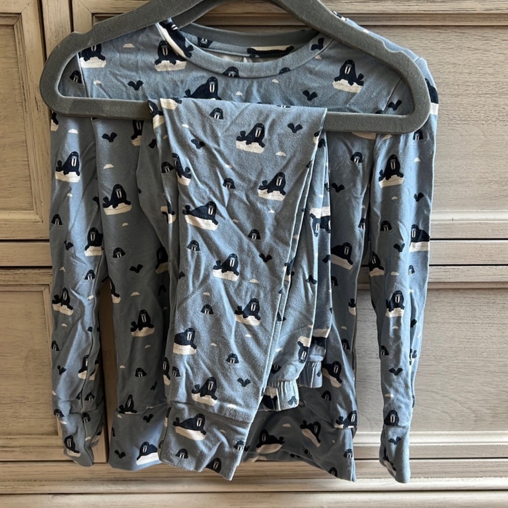 Boys Bamboo Pjs